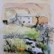 Wild Boar Farm