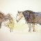 Horses_edited-1