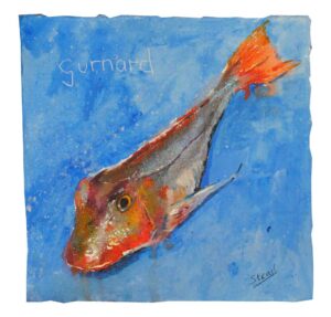 Gurnard