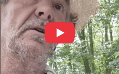 Screen Shot 2025-07-06 at 14.52.29 Screen Shot 2025-07-06 at 14.52.29